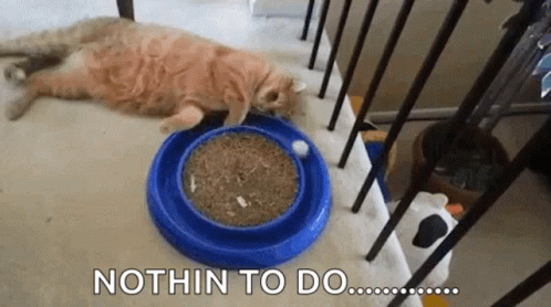 todo task empty
